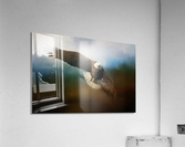 Raptor Acrylic Print