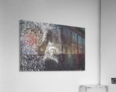 Cat  Acrylic Print