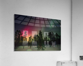 Boreal  Acrylic Print