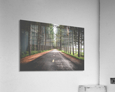 Road perspective Acrylic Print