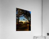 Work Perks Acrylic Print