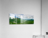 Nature's Nest Acrylic Print