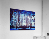 Snowy Delight Acrylic Print