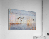 IMG_7824 Acrylic Print
