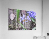 IMG_8651 Acrylic Print