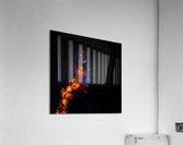 Fire within Acrylic Print
