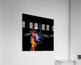 Fire and Ice Acrylic Print