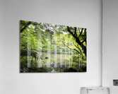 Tokyo Garden Acrylic Print