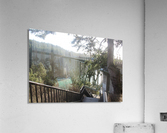 Deception Acrylic Print