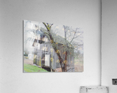 Barnyard  Acrylic Print