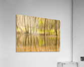 forest park reflections Acrylic Print
