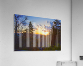 Caesar Sunset Acrylic Print