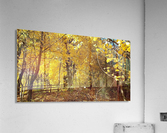 Autumn Season Acrylic Print