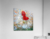 Poppy  Acrylic Print