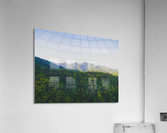 Follow Me Away Acrylic Print