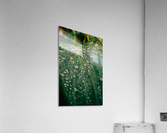 Almost Vegan Acrylic Print