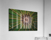 Sun Dreams Acrylic Print