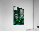 His Name Is Peter Acrylic Print