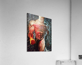 Rising Pheonix  Acrylic Print