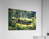 Summer in Glen Sutton Acrylic Print