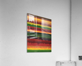 IMG_0524 Acrylic Print