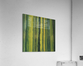 IMG_0511 Acrylic Print