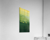 IMG_0517 Acrylic Print