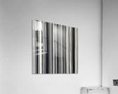 IMG_0528 copy Acrylic Print