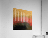 IMG_0061 Acrylic Print