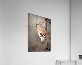 _T8C2845 Modifier Modifier Acrylic Print