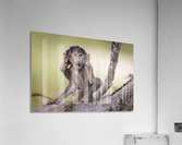 Hands-up Acrylic Print