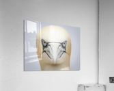Angry Bird Acrylic Print