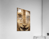 Grrrr - Color Acrylic Print
