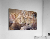 Brothers & Sisters Acrylic Print