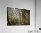 Ghosts of the Serengeti Acrylic Print
