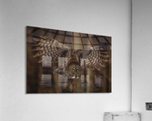 Great Grey Owl Acrylic Print