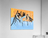 Horses.Davey K. Acrylic Print
