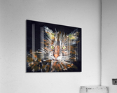 Whiskers. Stephen R Acrylic Print