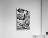 Face to face Acrylic Print