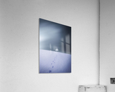 Winter  Acrylic Print