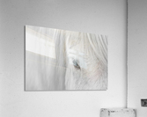 Whisper of Iceland  Acrylic Print