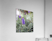 Flower33 Acrylic Print