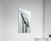 Parakeet bird  Acrylic Print