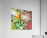 Solar rendezvous  Acrylic Print