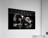 Reflections of Dnell 2 Acrylic Print