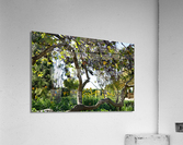 Montjuïc Garden Acrylic Print