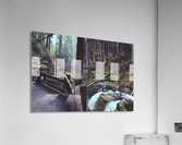 Pathway Acrylic Print