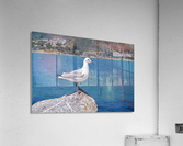 Hout Bay Cape Town Acrylic Print