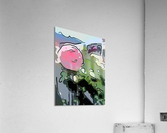 Pink Rose Garden on Braddock Drive Acrylic Print