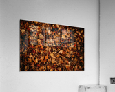 Feuilles mortes Acrylic Print